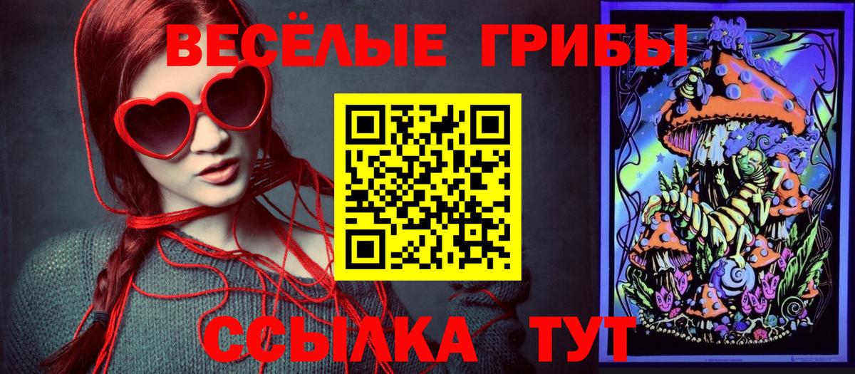Псилоцибиновые грибы Cubensis Верхняя Салда